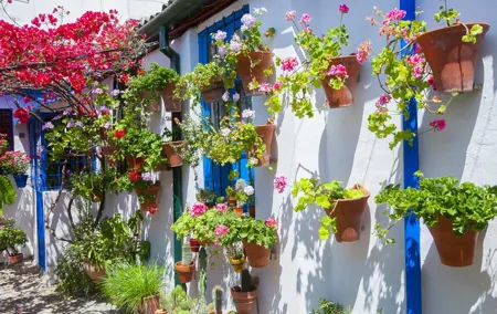 Authentic Patios of Cordoba Guided Tour