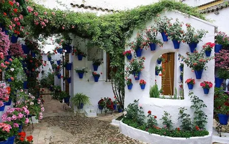 Patios & Perfums of Cordoba Festival Tour