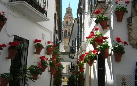 Private Tour: Cordoba Walking Tour with Skip-the-line Tickets
