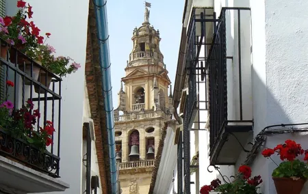 Cordoba Private Tour including visit to the Fortress