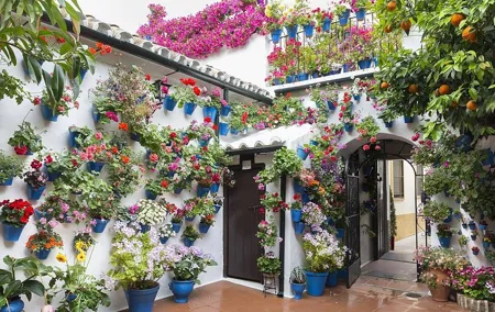Private Tour: the Courtyards of Cordoba