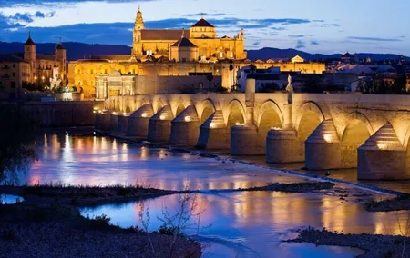 Cordoba Patios Private Walking Tour With A guide
