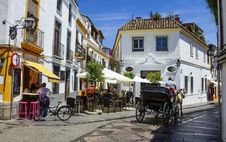 Cordoba Private Walking Tour with a Professional Guide