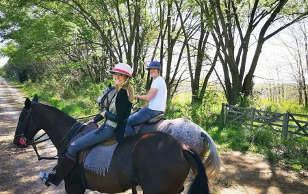 1.5 hr Horseback Riding in Open Door, Luján, Buenos Aires
