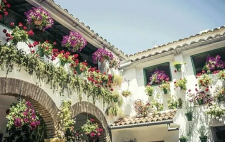 Guided Tour to Discover the Courtyards of Cordoba
