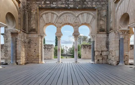 Guided visit to Medina Azahara