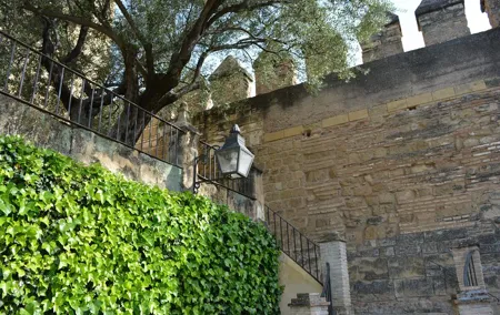 Cordoba Monumental Intensive Tour in Spanish Tickets included