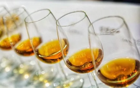 Pedro Ximenez Experience Wine & Tapas Tasting in Cordoba