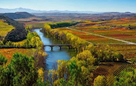 Rioja Alta and Rioja Alavesa Wine Tour