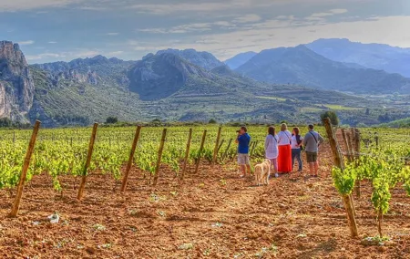 Rioja Like A Native Wine Tour