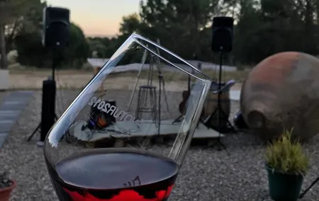 Visit and Wine Tasting at the Territorio Luthier Winery