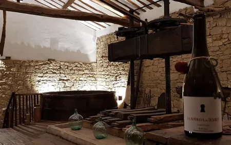 Visit a winery of the 19th century and its draft