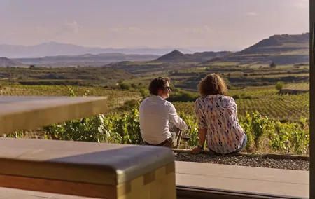 Wine Tour: Winery & Traditional Lunch From Logroño