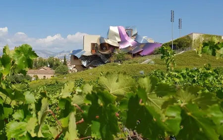 Rioja Wine Tour: 2 Wineries From Pamplona