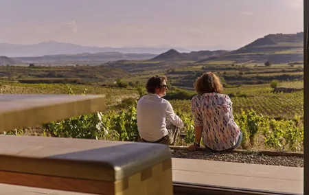Wine Tour: 2 Wineries From Logroño
