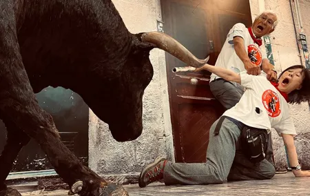 Walking tour of Pamplona: beyond the bulls