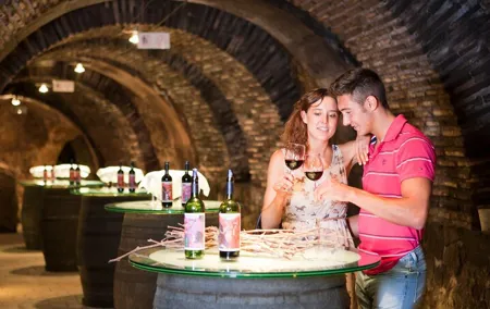 The Authentic Rioja Alavesa wine experiences