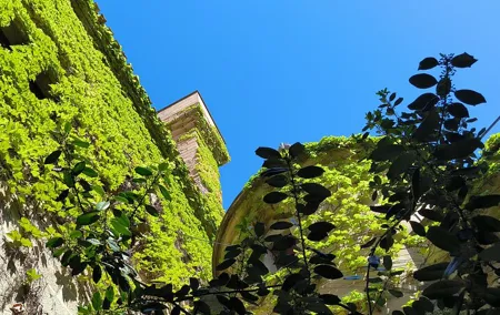 Uncorking Olite: A Private Wine Tour & Royal Castle Experience
