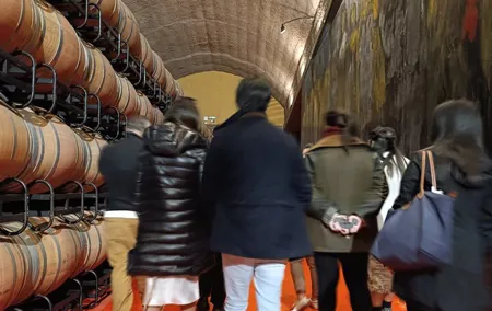 Rioja Wine Tour with Pintxos Lunch & Expert Guide