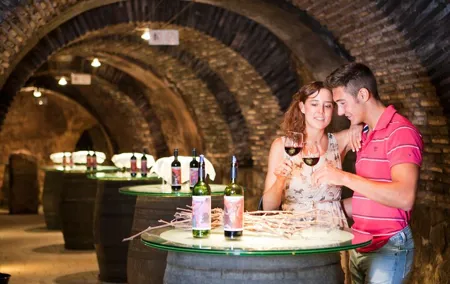 Rioja Alavesa: Authentic Wine Experiences