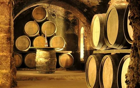 Rioja wine region with visit to winery & Vitoria-Gasreiz