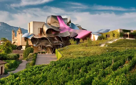 Visit Marques de Riscal & Boutique Winery from Bilbao