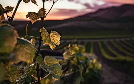 Haro, Laguardia and two Rioja wineries from Bilbao