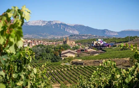 Vineyard Voyage: A Wine Lover’s Tour from Bilbao to Rioja
