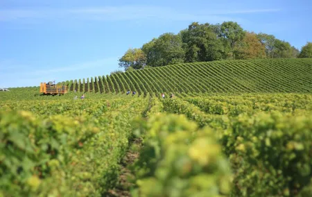 Full Rioja Wine Tour with Lunch from Bilbao Private Tour