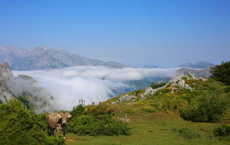 Full Day Private 4WD Tour from Bilbao to Picos de Europa. Fine meals.