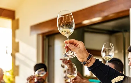 Bilbao Txakoli Wine Tour