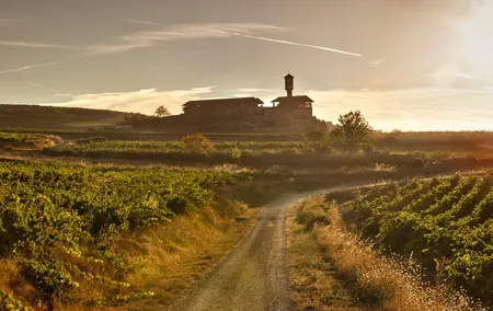Rioja Wine Tour: Winery & Traditional Lunch From Vitoria