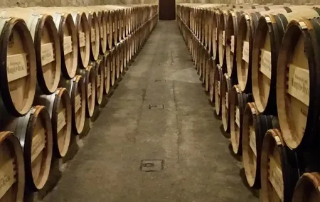 Luxury La Rioja Wineries Private Tour