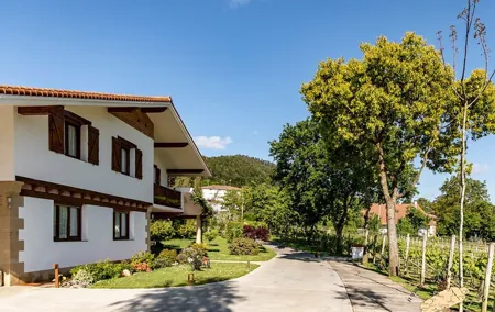 Basque Vineyard Visit: Txakoli Wine Tasting & Pintxos from Bilbao