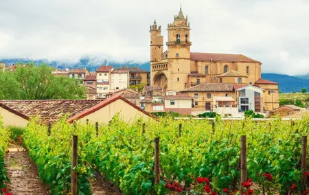 La Rioja Private Tour + Logroño Tapas & Wine Tasting from Bilbao