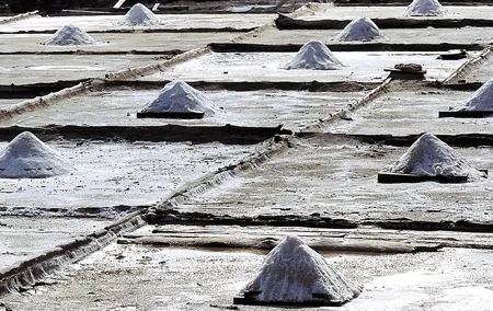 Bilbao: Discover Añana Salt Valley and Vitoria
