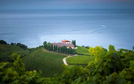 Full Day Private Tour with Txakoli Tasting in Sebastian & Getaria