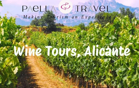 Alicante; Wine Tour Wine Tasting, Food and Transfer