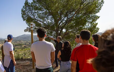 Alicante Olive Oil Tour