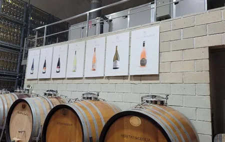 Beautiful Winery in the Alicante
