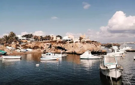 From Alicante to Tabarca, Santa Pola and entrance to the Pink Lagoon