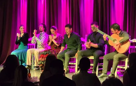 Vibrant Flamenco Show and Tapas Menu in Alicante
