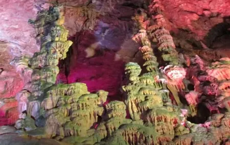 Alicante; Cuevas del Canelobre and Busot Local Guide with Transfer