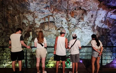 Alicante: Canelobre Caves & Busot with Local Guide & Transport