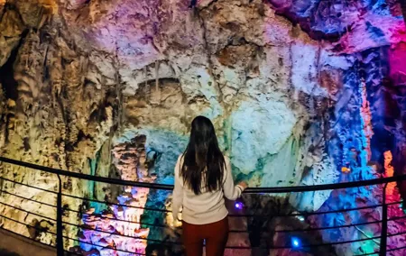 Jurassic Cave. Guided tour of the past from Alicante and Campello