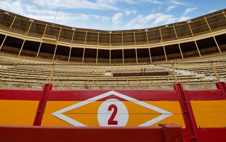 Private Guided Visit to the Alicante Bullring and Museum