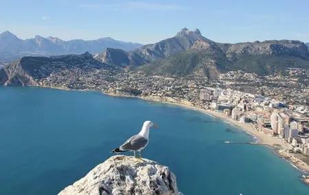 Alicante Private Walking Tour with a Local