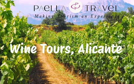 Exclusive Tour Alicante Almazara Winery and Fondillón Museum