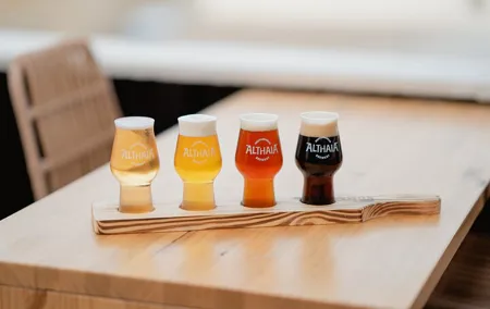 Factory Visit of Craft Beer with Tapas from Alicante