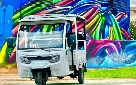 Valencia: Tuk tuk tour